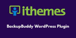 BackupBuddy WordPress Plugin