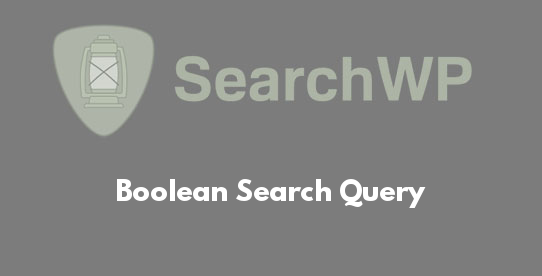 Boolean Search Query