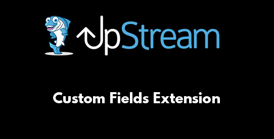 Custom Fields Extension
