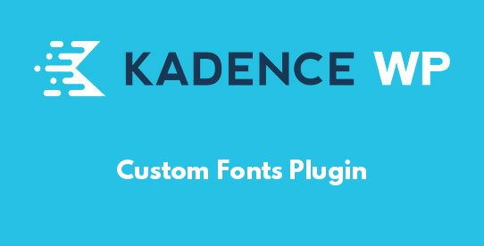 Custom Fonts Plugin