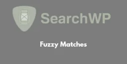 Fuzzy Matches