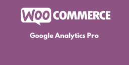 Google Analytics Pro
