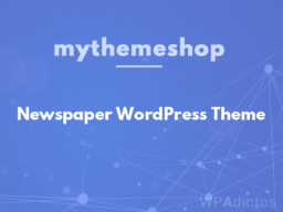 Newspaper WordPress Theme