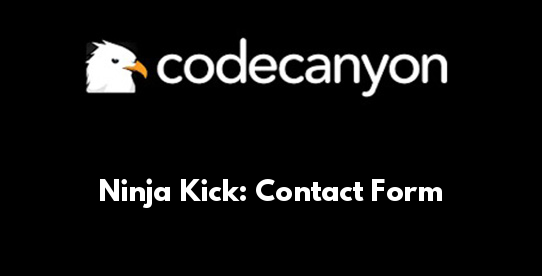 Ninja Kick: Contact Form