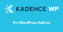 Pro WordPress Add-on