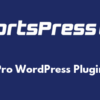Pro WordPress Plugin
