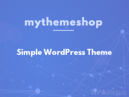 Simple WordPress Theme