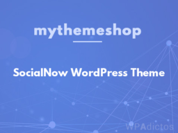 SocialNow WordPress Theme