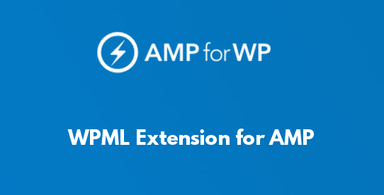 WPML Extension for AMP