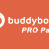 BuddyBoss PRO Pack