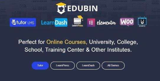 Edubin – Education WordPress Theme