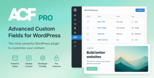 Advanced Custom Fields (ACF) Pro