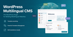 WordPress Multilingual CMS WordPress Plugin